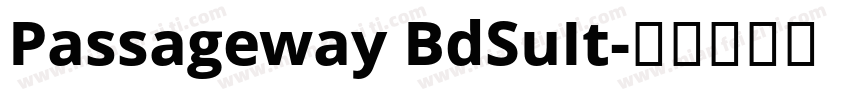 Passageway BdSuIt字体转换